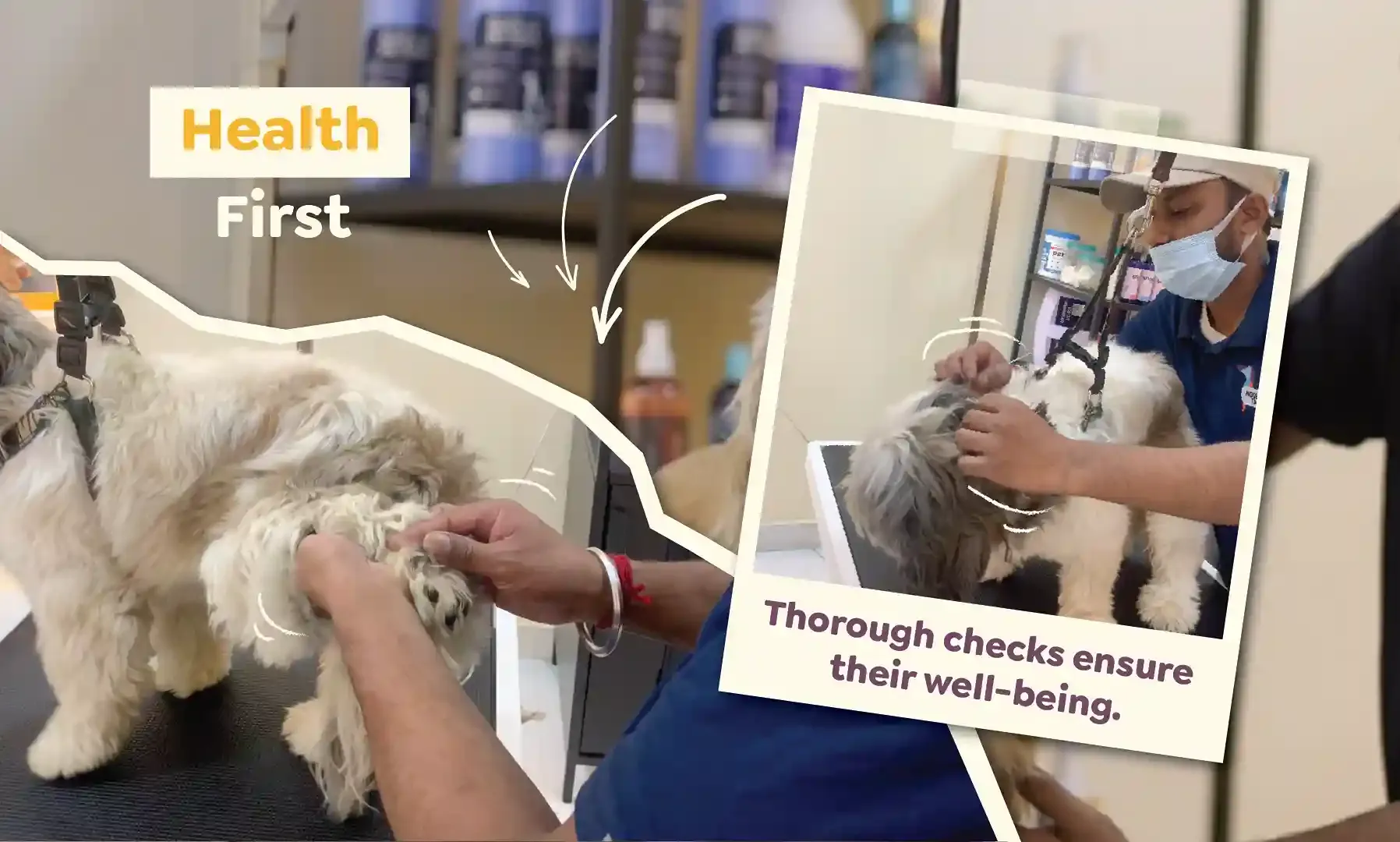 Physical check up of pets before the start of every grooming session
