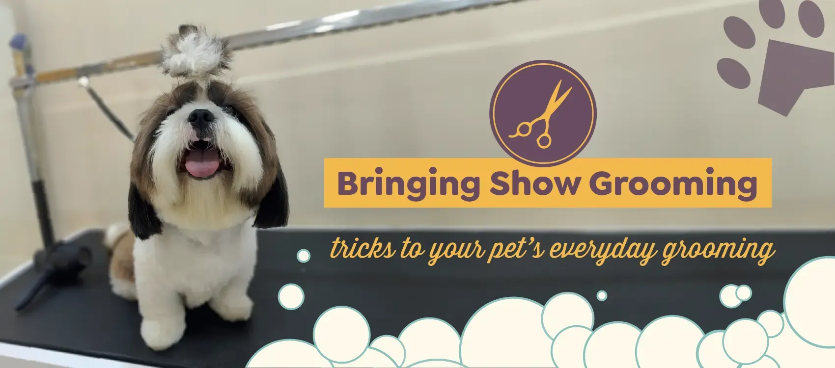 Before and After Grooming pictures of Shih Tzu and Chow Chow